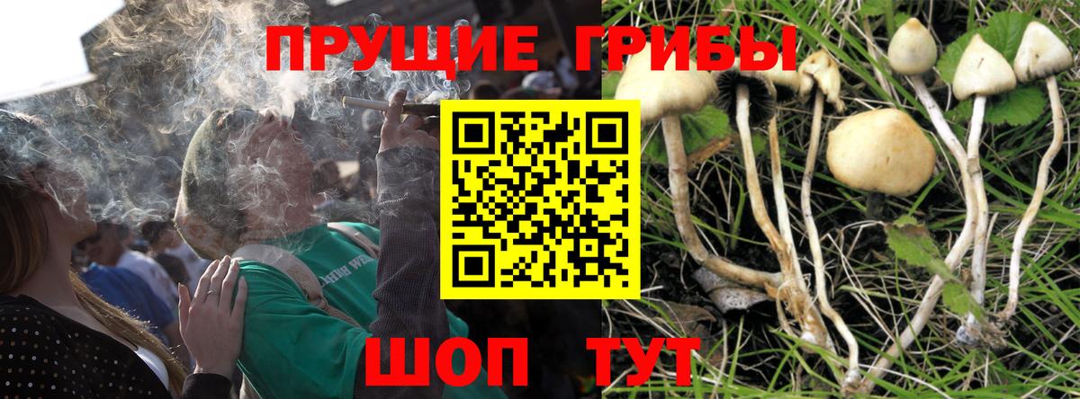 Псилоцибиновые грибы мухоморы  Галлюциногенные грибы Psilocybine cubensis  Вход с VPN  Верхний Уфалей 